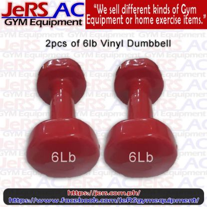 Picture of 6lbs Vinyl Dumbbell Pair