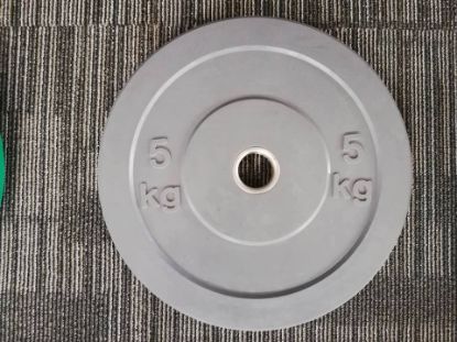 Picture of 5kg Colored Bumper Plates
