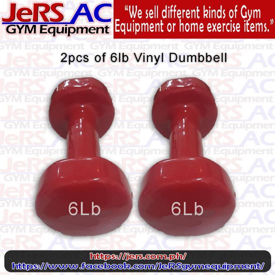 Picture of 6lbs Vinyl Dumbbell Pair